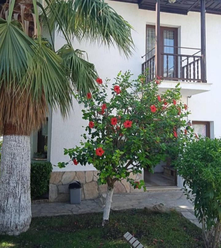 Nehir Dalyan Boutique Otel Ортаджа Экстерьер фото