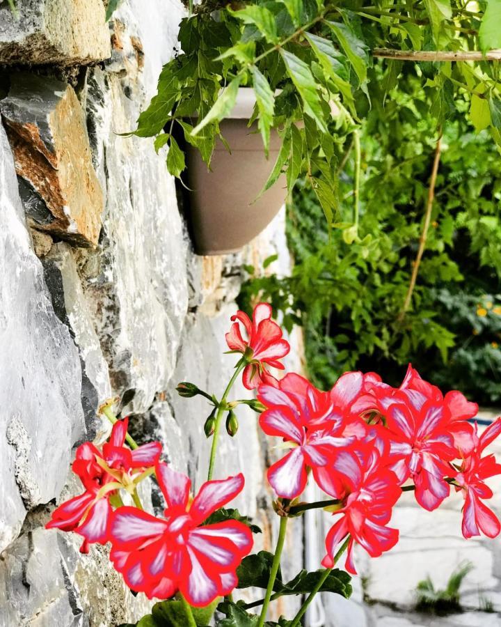 Nehir Dalyan Boutique Otel Ортаджа Экстерьер фото